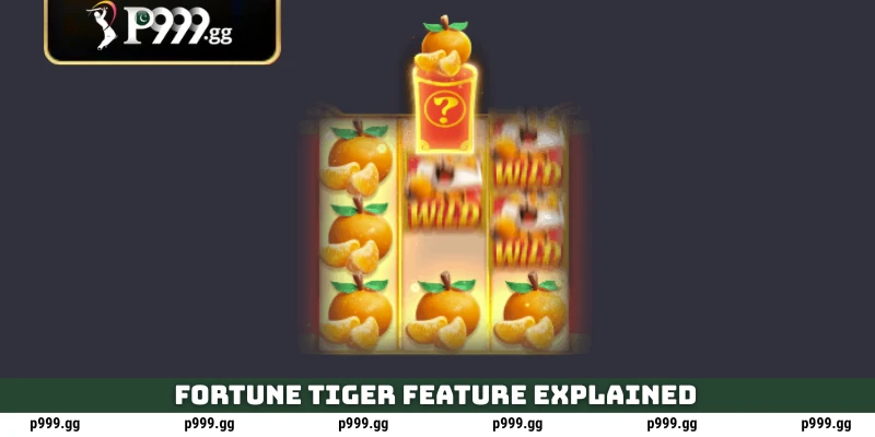 Fortune Tiger Feature explained
