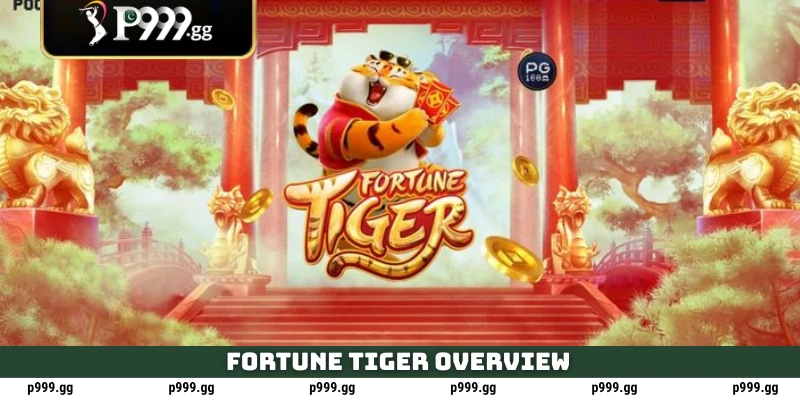 Fortune Tiger overview