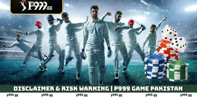 Disclaimer 1 Disclaimer & Risk Warning